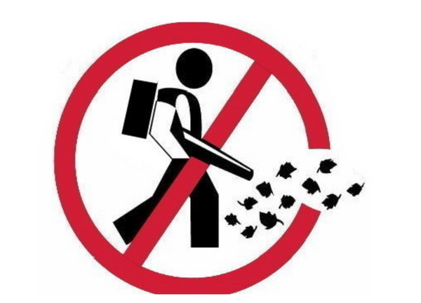 Blowback: The case for cracking down on leaf blowers in Savannah