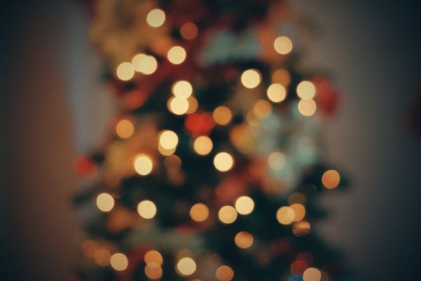 A Savannah Christmas wish list