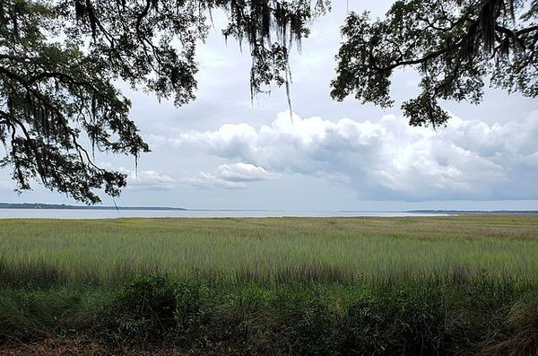 Opinion: Why a bill expediting private ownership of Georgia’s salt marsh is a bad idea