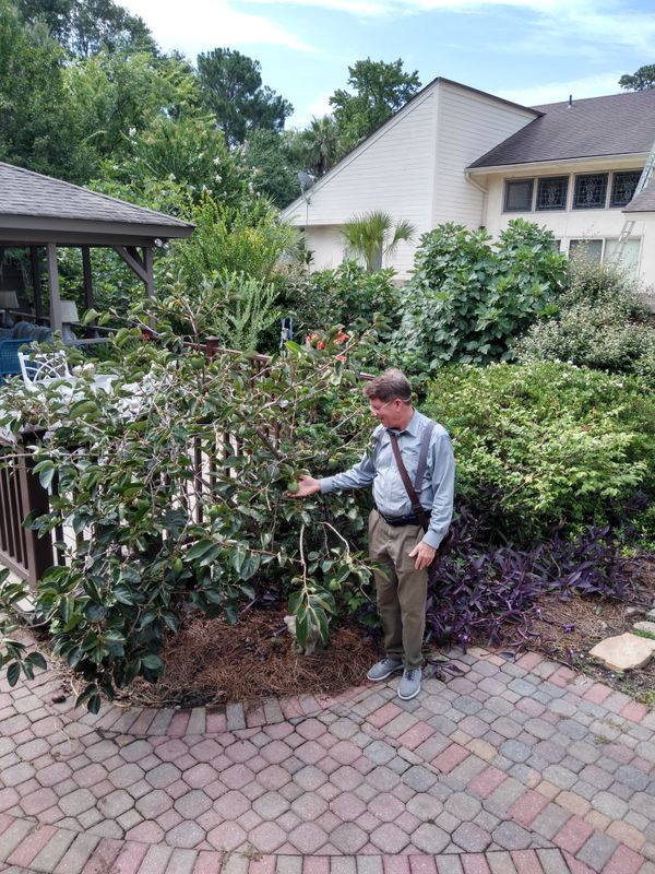 Savannah gardens on display with Habersham Woods tour this Sunday