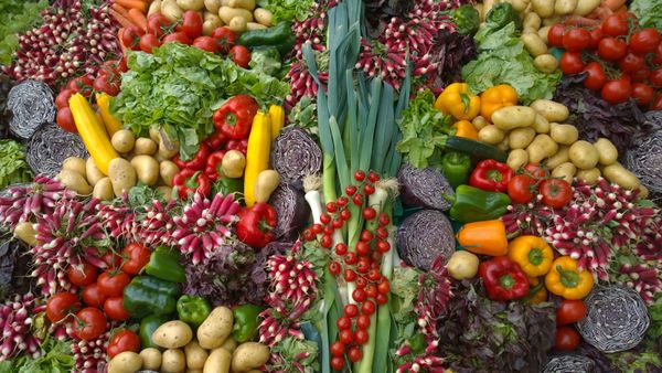 Savannah Veg Fest seeks to educate folks on plant-based diets