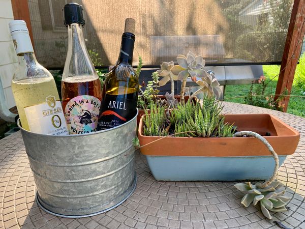 Sober girl summer: Three non-alcoholic wines to try