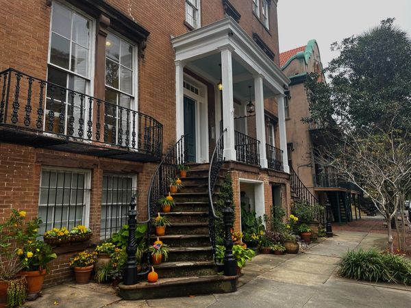 Thanksgiving in Savannah: What to Do and Where to Haul Your Out-of-Town Family