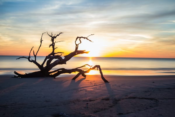 One Hundred Miles: Empowering communities to fight for the future of Georgia’s coast