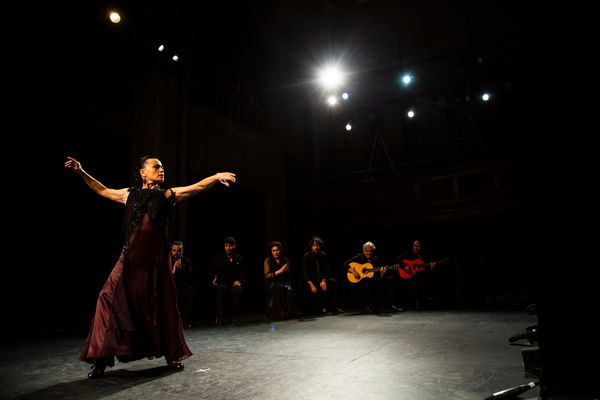 'Searching for Goya' with Soledad Barrio & Noche Flamenca