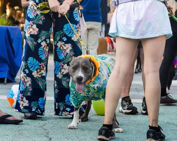 Yappy Hour goes Back to School