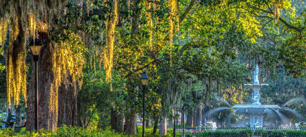 Savannah on edge after horrific Forsyth Park attack